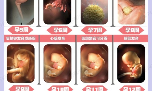 37 1还出汗网—知名的37度一直出汗网站,分享37度出虚汗知识